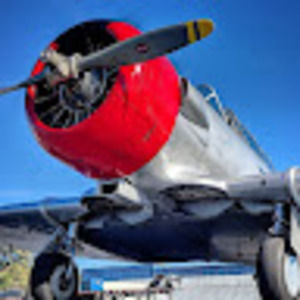 Meet your Posher, Ariel